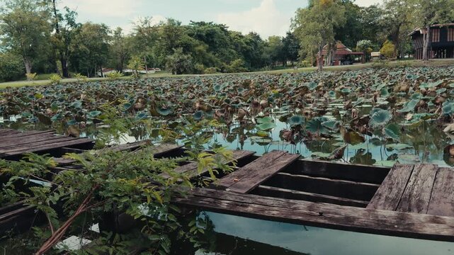 Old wooden dock surrounded by greenery overlooks a large lotus pond in Ayothaya, Thailand under a partly cloudy sky.