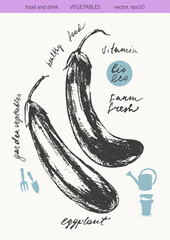Hand drawn ink eggplant vegetable sketches set. Food drawings for labels and packaging. Vegetarian menu. Healthy diet.