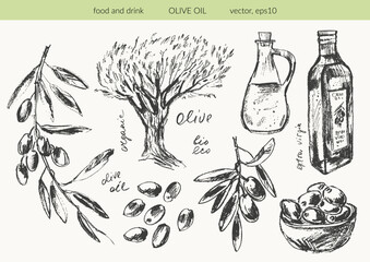 Hand drawn olive branches with leaves and berries ink sketches. Olive tree, bottle, olives. For food and drink background, olive oil labels and packaging.