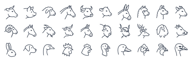 Obraz premium Farm animal head line icon set. Cow, pig, goat, horse, rabbit, rooster, sheep, llama, turkey outline vector illustrations. Signs for livestock, pets and domestic creature.