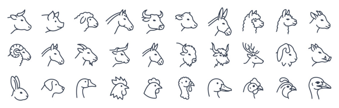 Farm animal head line icon set. Cow, pig, goat, horse, rabbit, rooster, sheep, llama, turkey outline vector illustrations. Signs for livestock, pets and domestic creature.