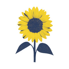 Fototapeta premium PNG Bright sunflower illustration on white.