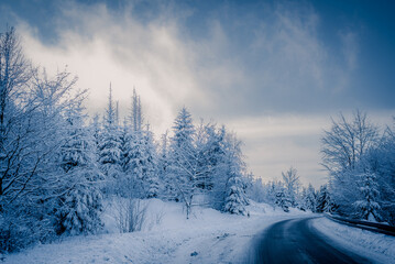 A narrow road winding through a dense snow-covered forest on a clear winter day. Tall pine trees and frosted branches are heavily coated with fresh snow under a deep blue sky, creating a peaceful and 