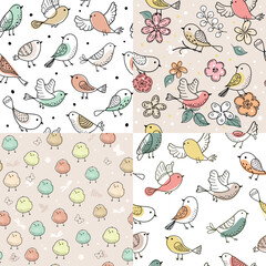 Colorful doodle bird seamless pattern. Collection of flat hand drawn birds. Cute background for textile print