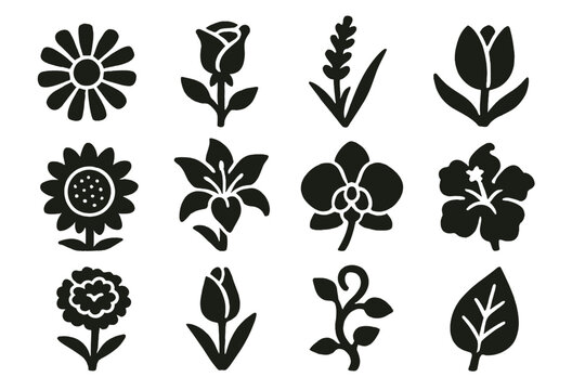 Bold Dried Flower Icons. Dried Flowers icon set in silhouette bold style. Contain daisy, rose, lavender, tulip, sunflower, lily, orchid, hibiscus, marigold, bud, vine, leaf