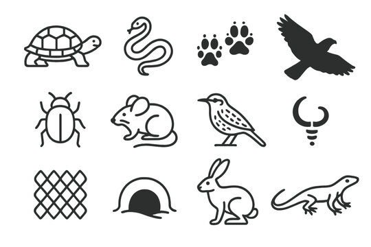 Desert Wildlife Icons. Arid Wildlife set in outline vector style: desert tortoise, sand snake, fox tracks, hawk silhouette, beetle icon, dune mouse, cactus wren