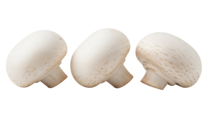 Three fresh champignon mushrooms PNG isolated on transparent background, edible fungi for cooking and healthy eating