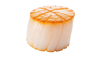 Seared scallop isolated PNG on transparent background, gourmet seafood delicacy with grill marks for culinary design and restaurant menus