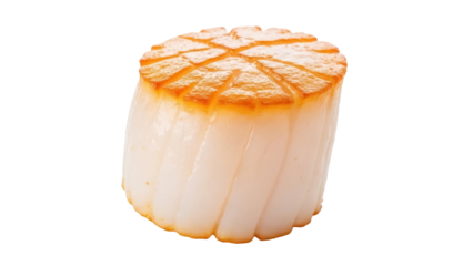 Seared scallop isolated PNG on transparent background, gourmet seafood delicacy with grill marks for culinary design and restaurant menus