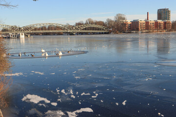 Winter am Spandauer See in Berlin; Blick zur Eiswerderbrücke