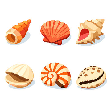 Isometric Beach Shells. Beach seashell collection set in isometric flat vector : spiral shell, scallop shell, conch shell, clam shell, nautilus shell, cowrie shell