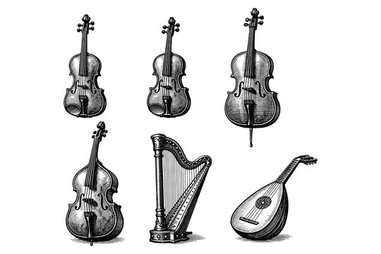 Vintage musical instrument collection: violin, cello, harp, lute in engraved style