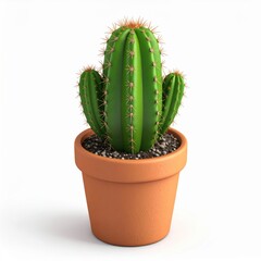 Green cactus in a terracotta pot with spines and vibrant colors, showcasing a modern design element for home decor and indoor gardening enthusiasts