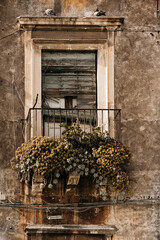 Weathered Window With Flower Boxes: Aged Plaster Facade, Wooden Shutters, And Potted Plants Creating Quiet Mediterranean Urban Detail