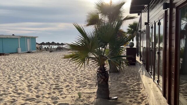 Luxury Beach Retreat at Golden Hour with Palm Trees, Wooden Loft House and Ocean View, Comporta Portugal