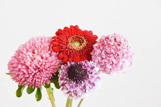 三色の花
