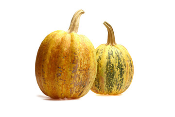 Two vibrant pumpkins with textured skin, showcasing rich yellow and green hues, are displayed against a clean white background, perfect for autumn-themed designs and seasonal decorations