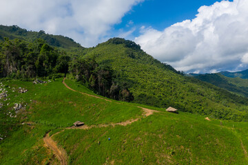 Obraz premium Grassy hillside dotted with small wooden huts and winding dirt paths set against lush green mountains in northern Laos. Bright sunlight and dramatic clouds create a vibrant and tranquil rural