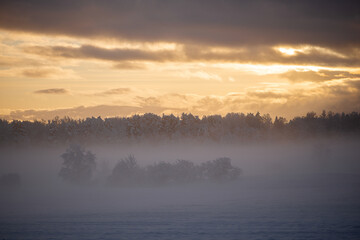 Obraz premium Golden Winter Sunrise Above Foggy Forest Horizon