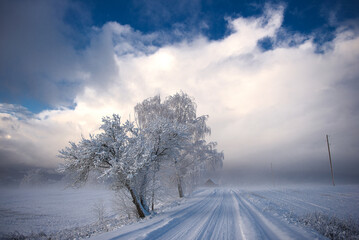 Silent Winter Road Through Frosted Trees