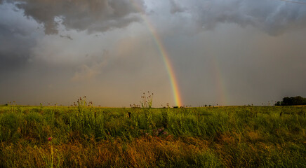 Grassland environment and raibow, La Pampa Province, Patagonia, Argentina.