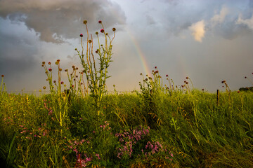 Grassland environment and raibow, La Pampa Province, Patagonia, Argentina.