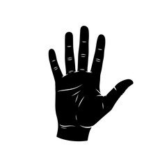 Obraz premium A high-quality lifestyle photograph of a professional woman smiling warmly while working on her laptop in a bright modern office