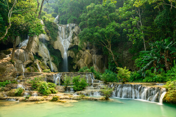 Naklejka premium Lush green forest surrounds layered limestone cascades and tranquil turquoise pools at Kuang Si Waterfalls in northern Laos. Gentle sunlight filters through the dense foliage, highlighting the natural