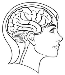 Brain icon within a human head, thin line illustration.