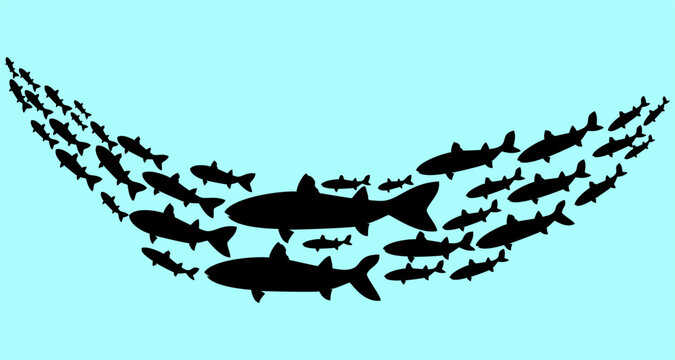 Imaginary image of a silhouette of a group of mullet fish swimming in a procession, isolated on a blue background, vector