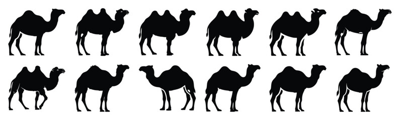 camel silhouette vector icon set, black clipart collection, Animal silhouette icons illustration graphic design © KartikChandro