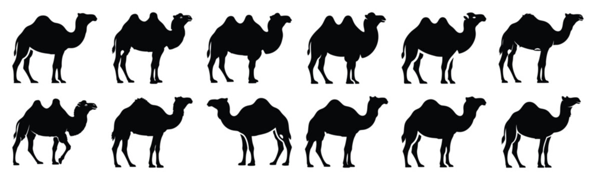 camel silhouette vector icon set, black clipart collection, Animal silhouette icons illustration graphic design