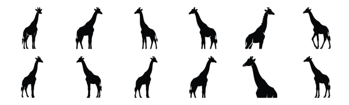 giraffe silhouette vector icon set, black clipart collection, Animal silhouette icons illustration graphic design