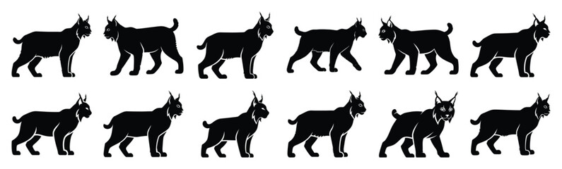 lynx silhouette vector icon set, black clipart collection, Animal silhouette icons illustration graphic design © KartikChandro