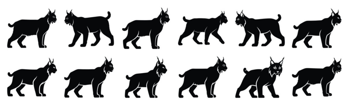lynx silhouette vector icon set, black clipart collection, Animal silhouette icons illustration graphic design