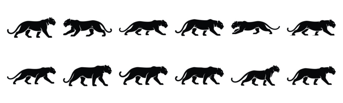 panther silhouette vector icon set, black clipart collection, Animal silhouette icons illustration graphic design