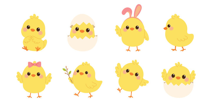 Cute chicken character set for Easter and spring design. Adorable yellow chicks in different poses. Flat vector illustration isolated on white background.