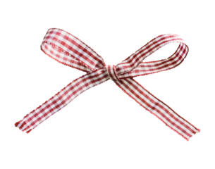 Gift Bow Ribbon, Isolated Photo Coquette In Red Gingham Pattern For Flyer Greeting Birthday Card Menu. Transparent Background