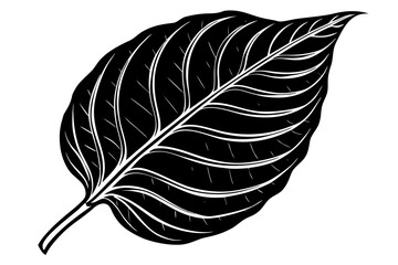 Beautiful shiloutte leaf for USA Designer © Alina