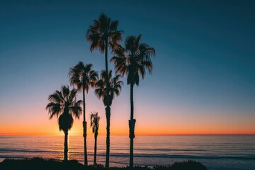 Obraz premium Silhouetted palm trees grace the coastline against a stunning, vibrant sunset