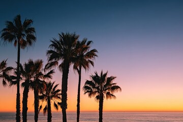 Obraz premium Silhouetted palm trees against a gradient sky during a vibrant sunset over a calm ocean