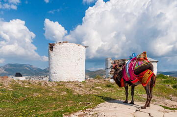 Aegean style old windmills in Bodrum Town of Turkey