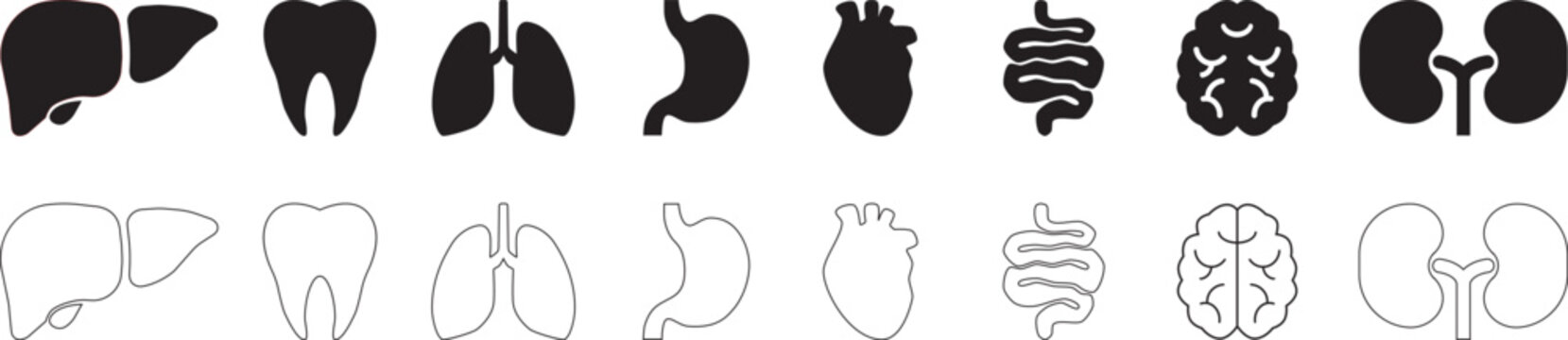Human organ icon set with heart, lungs, brain, kidneys, liver, stomach and dental elements on transparent background