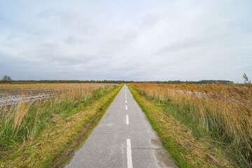 Dune landscape at R&oslash;m&oslash; island Denmark
beautiful north sea island of r&oslash;m&oslash; lakolk beach in Denmark vadehavet national park fly kites swim surf