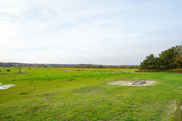 Dune landscape at R&oslash;m&oslash; island Denmark
beautiful north sea island of r&oslash;m&oslash; lakolk beach in Denmark vadehavet national park fly kites swim surf