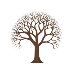 Obraz premium Bare Tree Silhouette, Winter Season, Isolated on White Background, Branching Structure
