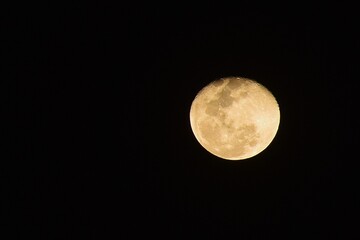 Obraz premium bright yellow full moon spreading light floating on sky in night background
