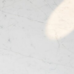 Elegant White Marble Texture with Subtle Veining