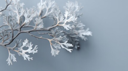 3D rendered gray coral branch with soft shadows formal and trustworthy for editorial use