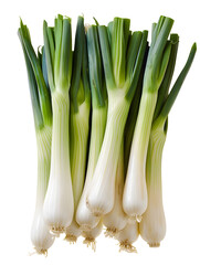 Bunch of fresh green onions on white background